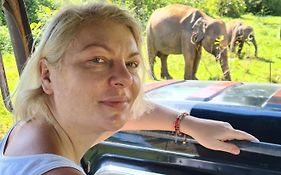 Elephant Paradise Safari Bungalow